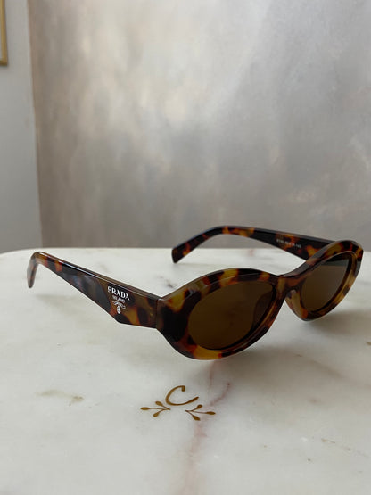 Ref 084