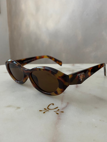 Ref 084